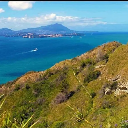 Anna's アパート バーコリ